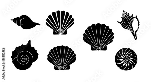 Elegant seashell silhouettes collection on white background