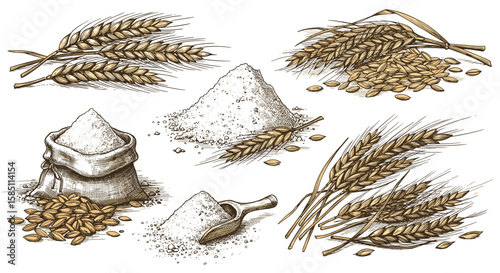 Vintage hand drawn wheat and flour collection with ear and grain elements