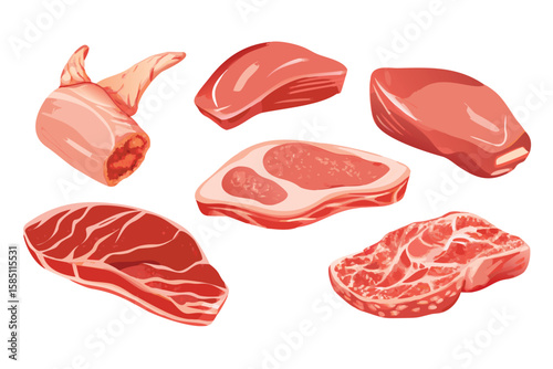 Photorealistic Raw Meat Cuts Vector Set. Realistic Beef, Pork, and Chicken with Gradient Mesh Shading