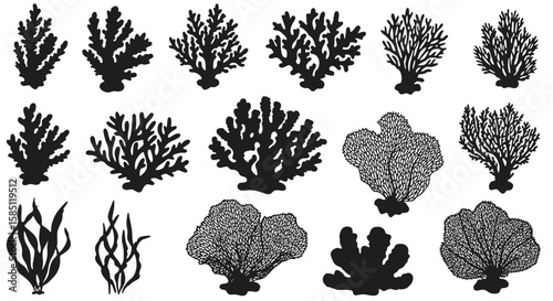 Silhouette coral and seaweed collection in black and white