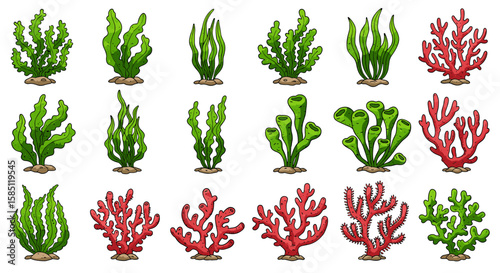 Aquatic plants and coral collection: diverse seaweed and coral variations