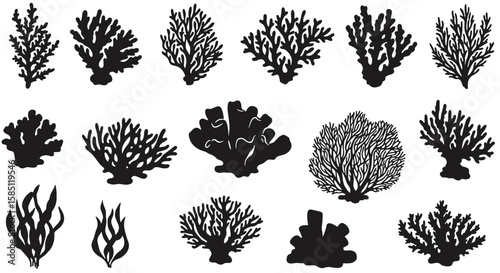 Silhouette set of coral and seaweed species for ocean and marine designs
