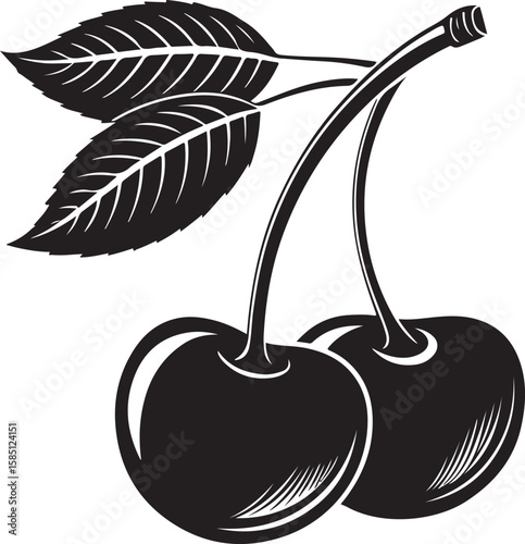 Black cherry fruit branch with leaves vector