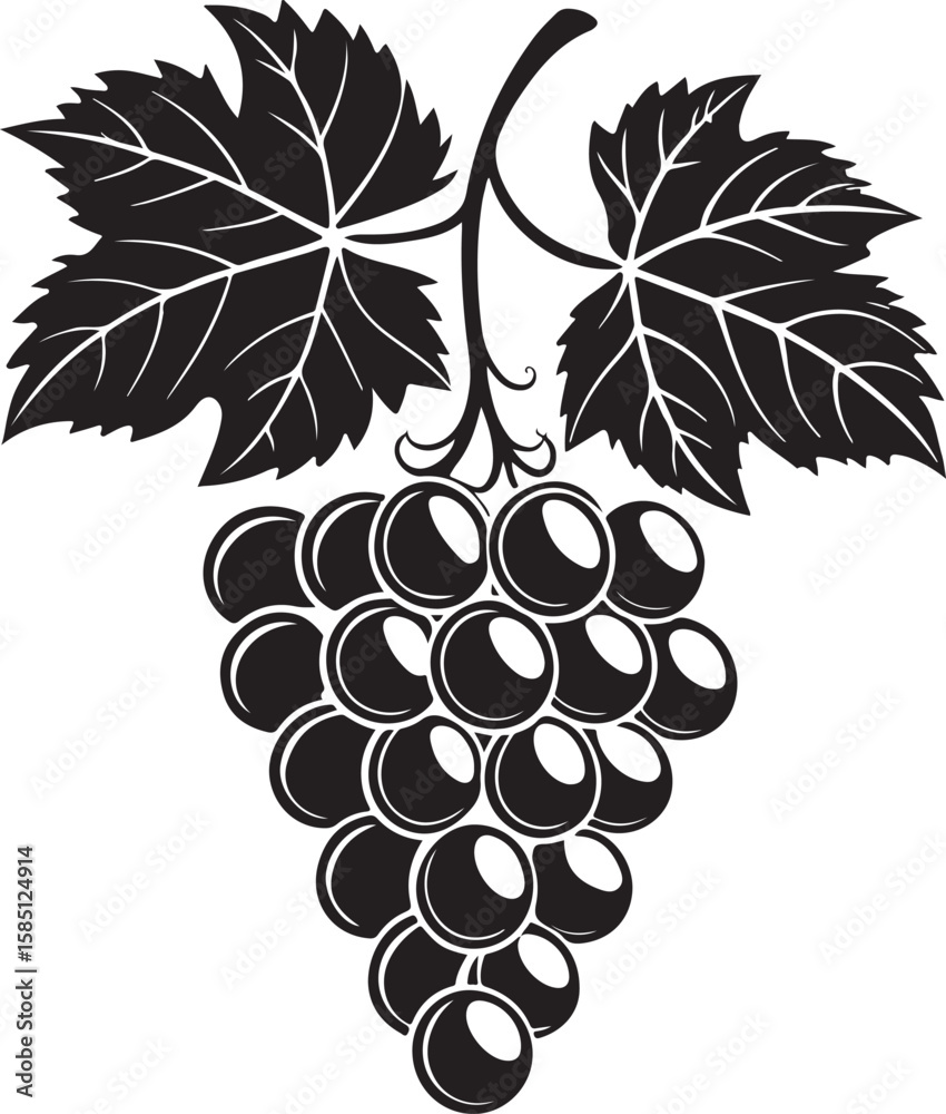 Obraz premium Black grape cluster with leaves vector grapes fruit