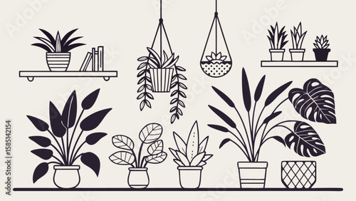 Houseplant collection line art vector design with potted plants and hanging plants indoor decoration style