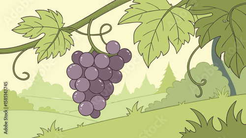 Illustration of grapes on the vine with leaves in a vineyard cartoon landscape background image vector