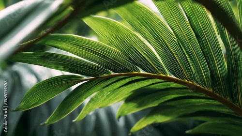 Vibrant palm leaves swaying gently in tropical breeze