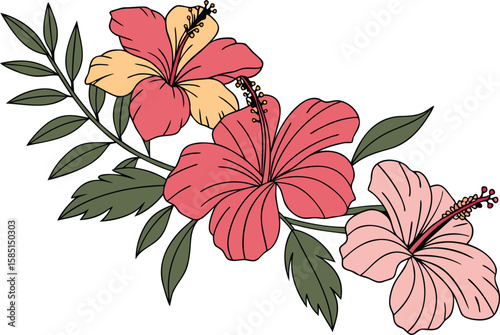 Red and white hibiscus flower vector illustration with a vibrant floral pattern, perfect for spring and summer nature design art
