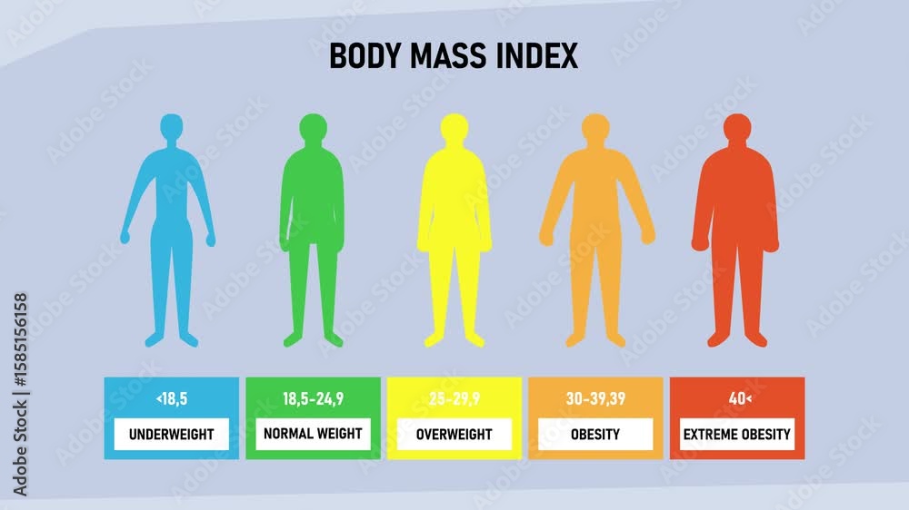 Body Mass Index (BMI) Chart – Weight Categories from Underweight to ...