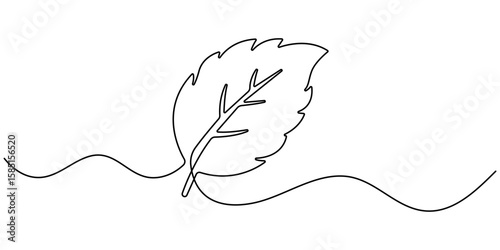 Continuous one line drawing of mint. Modern style vector illustration on isolated background, Mint, spearmint vector illustration.Background for label design. One continuous line art drawing. 