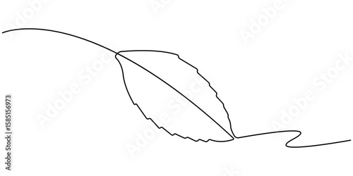 Continuous one line drawing of mint. Modern style vector illustration on isolated background, Mint, spearmint vector illustration.Background for label design. One continuous line art drawing. 