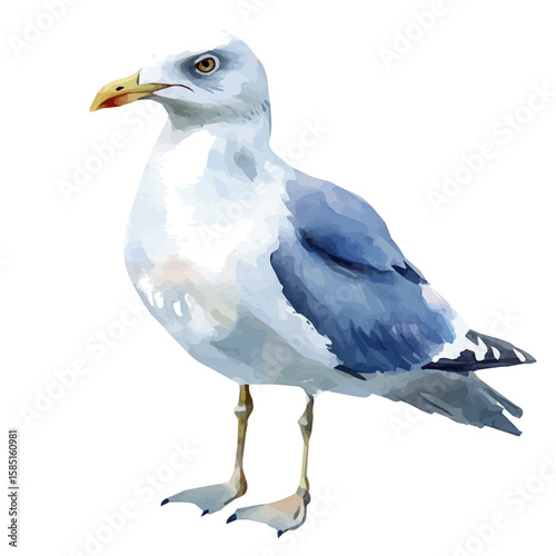 A hand-drawn illustration painting of a gull seagull in soft watercolor style, featuring delicate brush strokes, isolated on a white background, artistic, painted design, EPS format