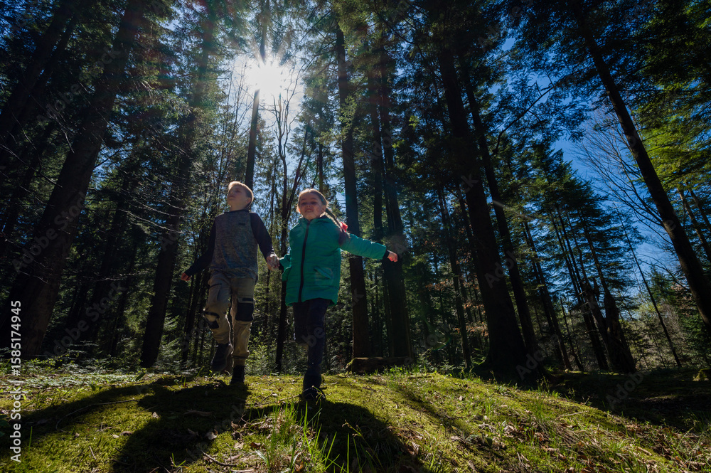 Fototapeta premium Children holding hands, running through a sun-dappled forest.