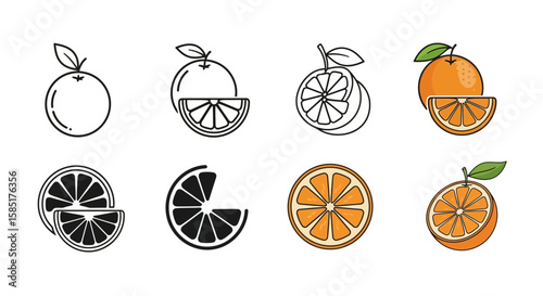 Orange variety graphic design: Presenting the refreshing essence of an orange with eight distinct illustrative styles. show different aspect of orange with line art, and detailed coloring