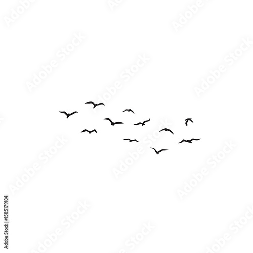png flock of flying bird in the sky white background 