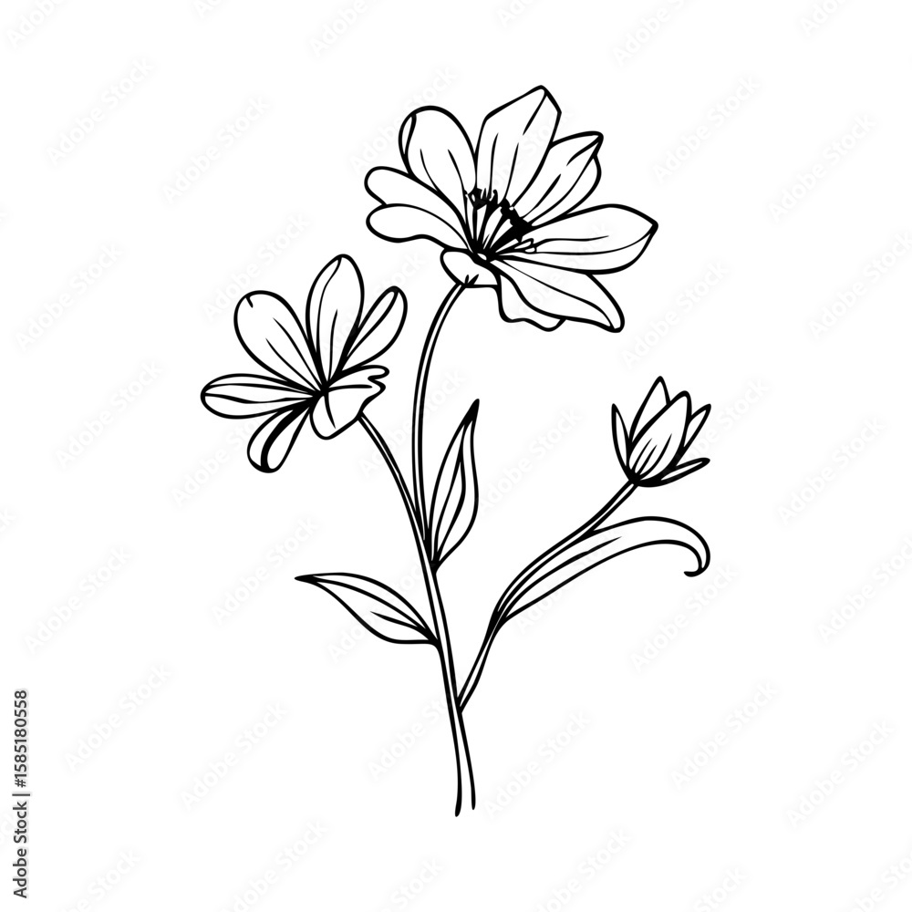 Obraz premium Hand-drawn flower sketch in black line art