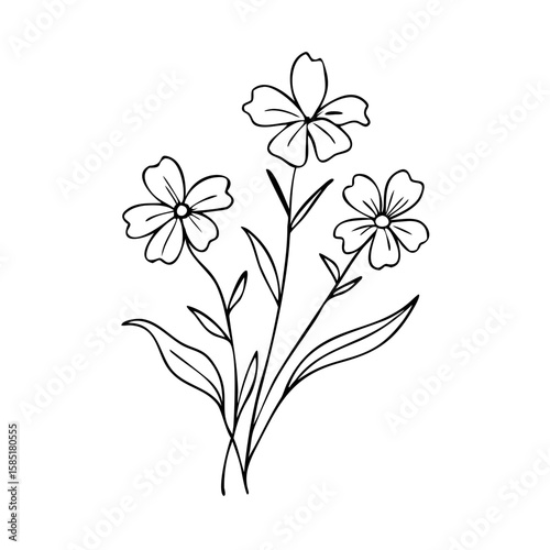 Hand-drawn field flowers in delicate black outline