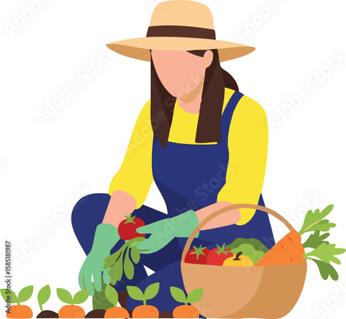 Woman gardener tending a vegetable garden, harvesting fresh produce, and placing them in a basket.
