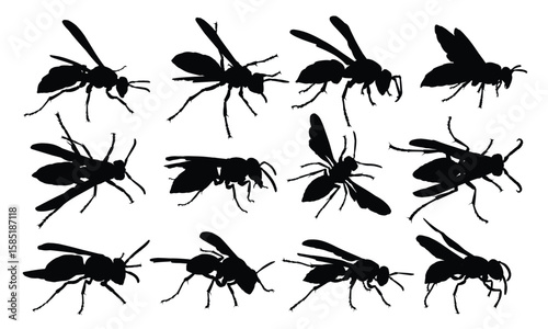 Set of large wasp silhouettes.
