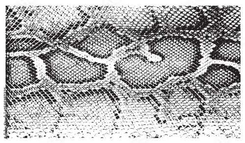 Snake skin pattern and repeating Seamless. Animal print and textile design.