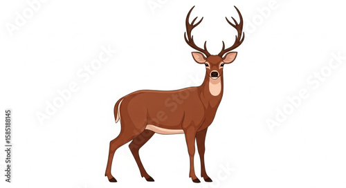 Illustration of a brown deer with large antlers standing on a white background looking forward calmly