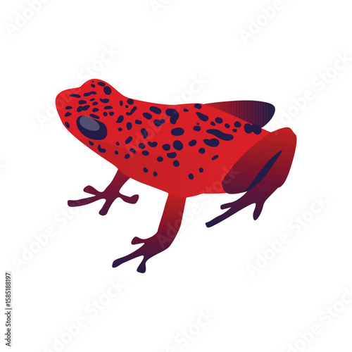 strawberry poison dart frog vector with separate white background
