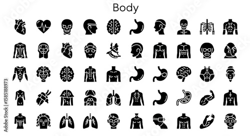 Human Body Icon: Anatomy & Wellness Solid Black Silhouette Symbol