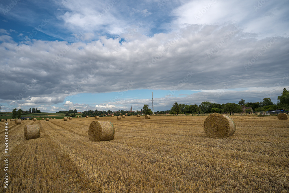 Fototapeta premium Mons en Pévèle, France, le 15 juillet 2025 : Paysage de la campagne de Mons en Pévèle, village du Nord de la France en région Hauts de France