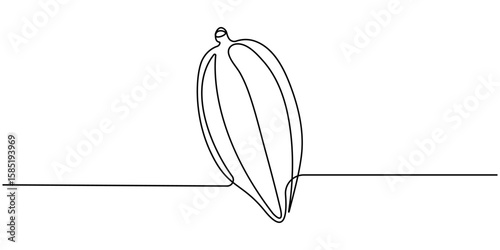 Continuous one line colorful cacao beans branch with leaves isolated on white background. Simple vegetable silhouette. Hand drawn cacao beans branch outline. Vector illustration. 