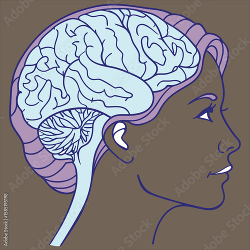 brain vector 