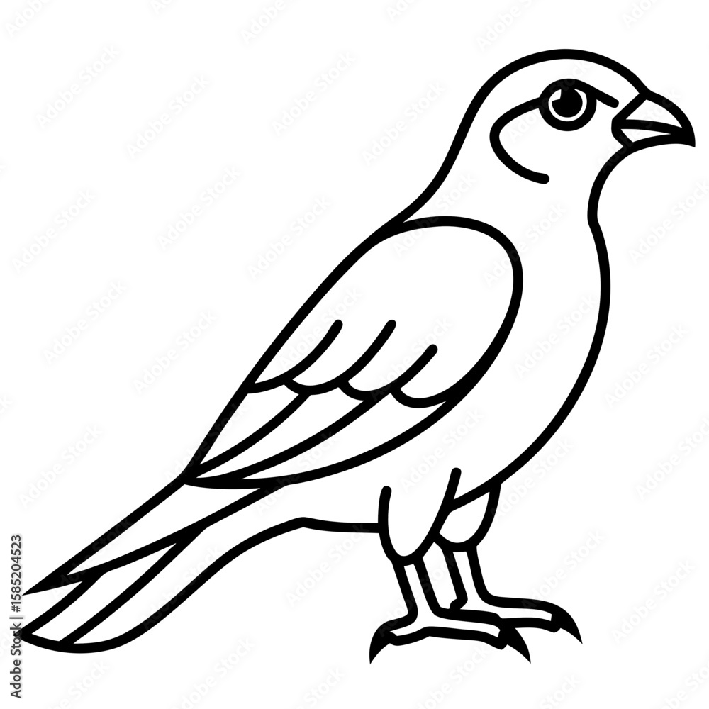 Fototapeta premium Line Art Sparrowhawk Silhouette