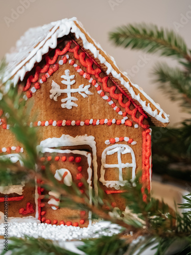 Homemade gingerbread house 