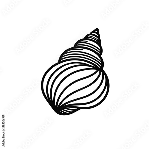 Minimalistic black and white shell illustration with geometric lines  