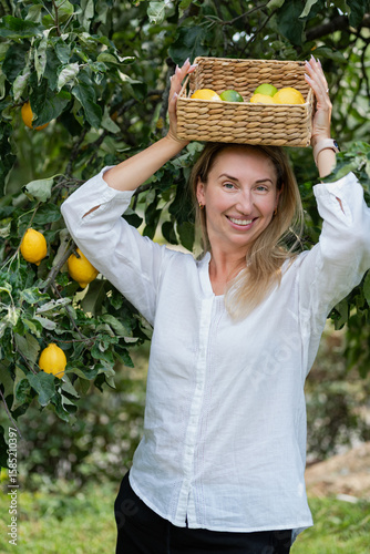 Portrait of cheerful woman picking ripe yellow lemons from tree while holding basket filled with citrus fruit. organic farming, healthy lifestyle, local produce, and sustainable agriculture.