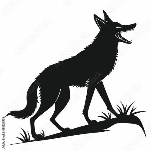 Wild Coyote Howling Standing on Grassland Silhouette Wildlife Creature