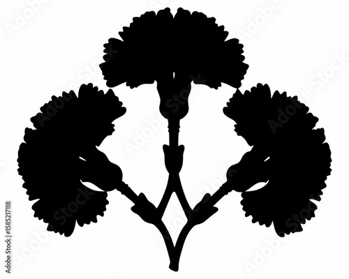 Silhouette of three carnation flowers arranged symmetrically on a white background in a floral design