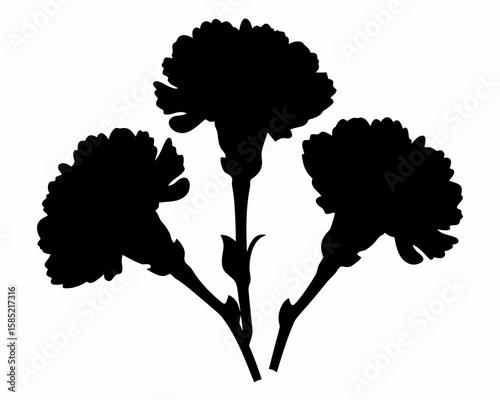 Silhouette depiction of three carnation flowers with detailed petals and stems arranged on a white background