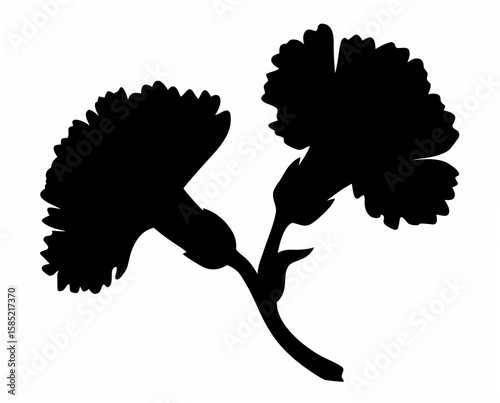 Silhouette of two carnation flowers with stems and leaves in a simple black and white composition design