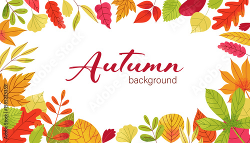 Autumn leaves framing. Cartoon fall decorative elements, colorful leaf border natural branch frame for card design. Vector banner with autumn foliage