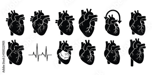 Anatomical Heart Silhouette Icons Arranged in a Row on a White Background for Medical Purposes