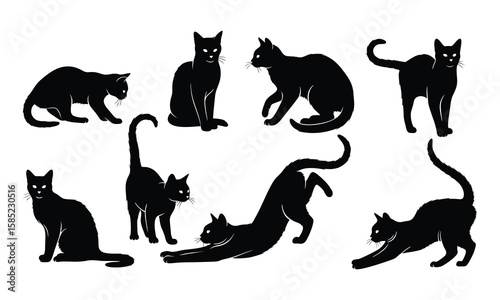 Black cats in various poses on white background, silhouettes of domestic animals set