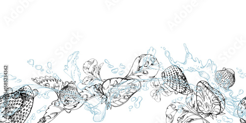 Strawberry flying in water splash with leaves, dew drops hand drawn in vector ink. Ripe summer garden forest berry strasberry. Isolated seamless banner. Home preserves, stationery, menu, recipe book