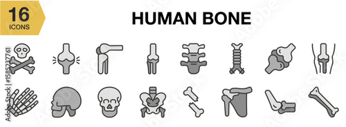 human Bone flat icon set. Includes bone, skeleton, skull, spine, femur, and More. Flat icons vector collection.