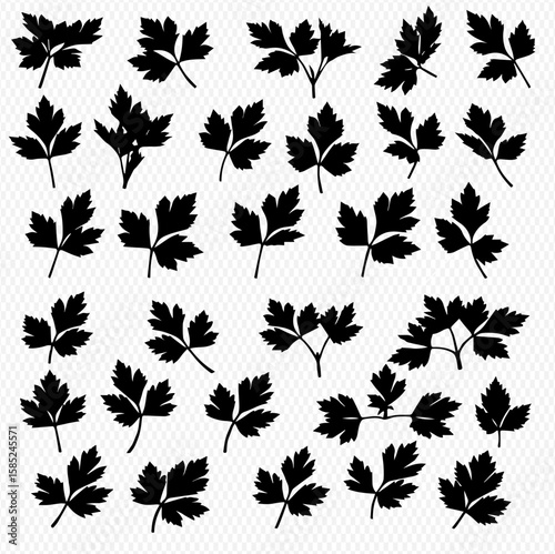 A collection of parsley sprig silhouettes arranged in a grid pattern against a transparent background.