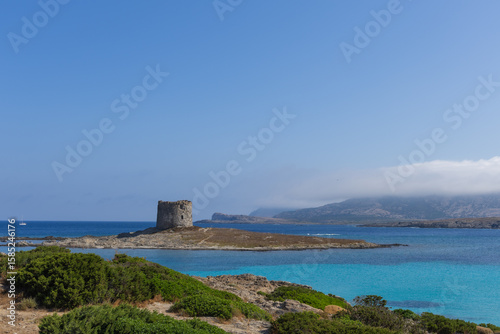 Fototapeta Naklejka Na Ścianę i Meble -  Caletta della Torre beautiful view of ruined tower on la pelosa beach sardinia italy