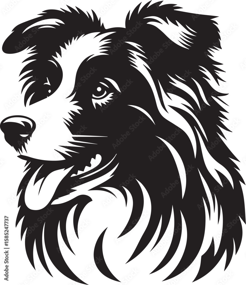 Obraz premium Border Collie Dog Vector – Silhouette 