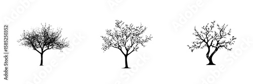 Silhouetted black trees showcasing various forms against a minimalist white background throughout the changing seasons