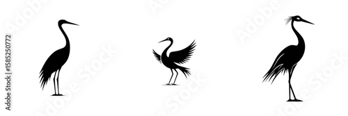 Elegant silhouettes of black birds depicting graceful movements and unique postures in a minimalist style
