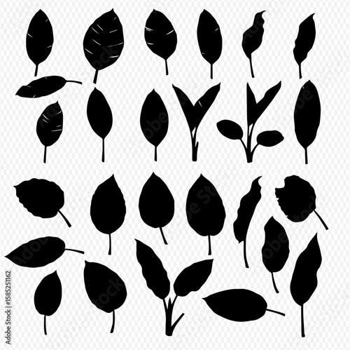 Collection of diverse black silhouette leaf illustrations, showcasing various shapes, sizes, and arrangements, set against a transparent background.