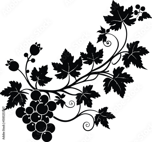 Grapevine and Flower Ornament Silhouette in Horizontal Design